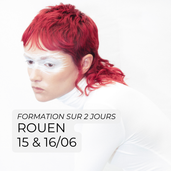 expert creativity ROUEN 15 & 16_06